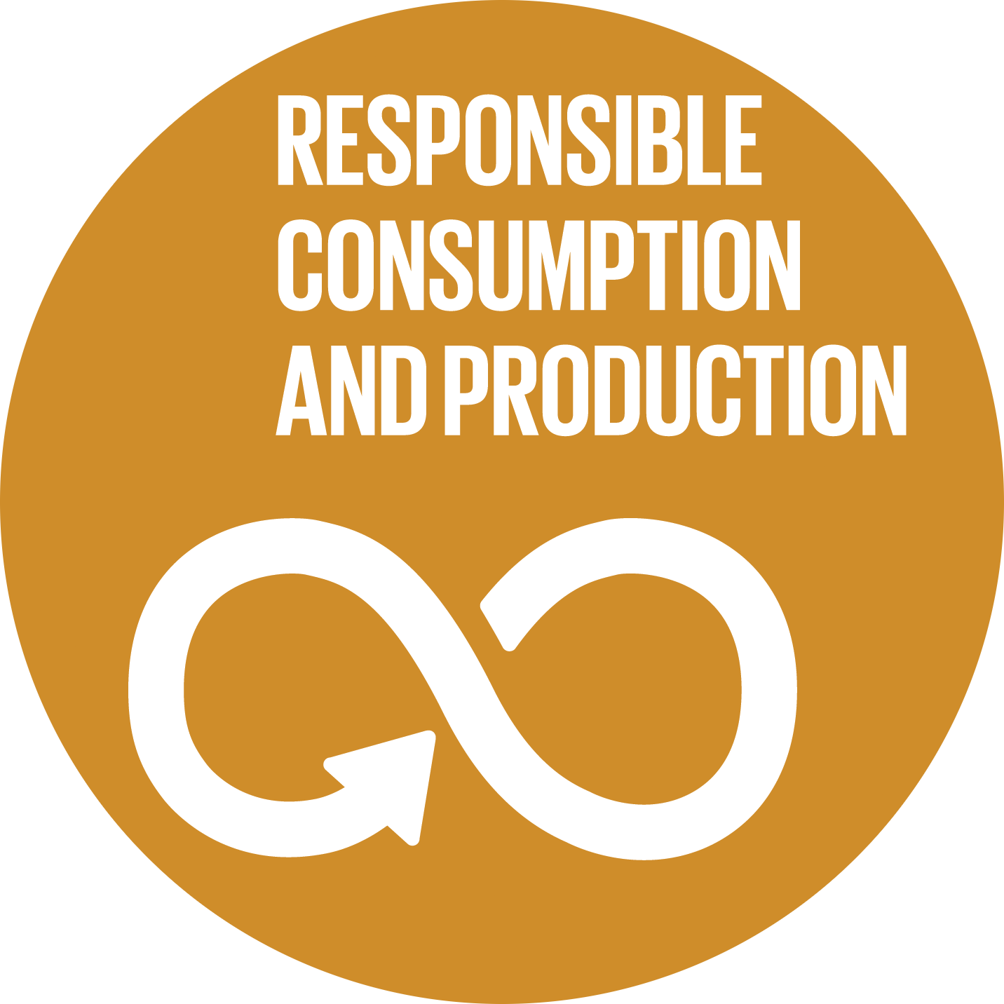 Responsible Consumption And Production